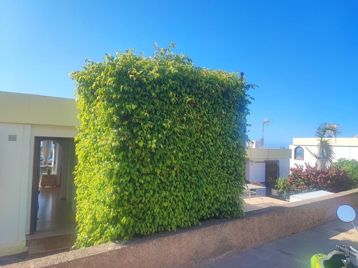 Casa Panorama 314 San Agustin Maspalomas 外观 照片